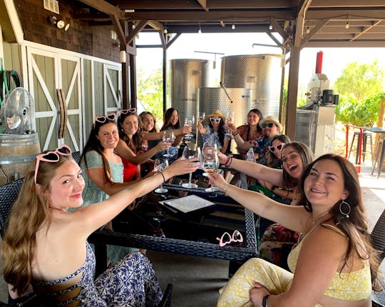 Il meglio del tour di degustazione di vini della Napa e della Sonoma Valley