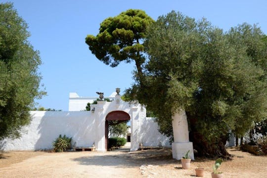 Dégustation d'huile d'olive extra vierge à la Masseria Valente à Ostuni