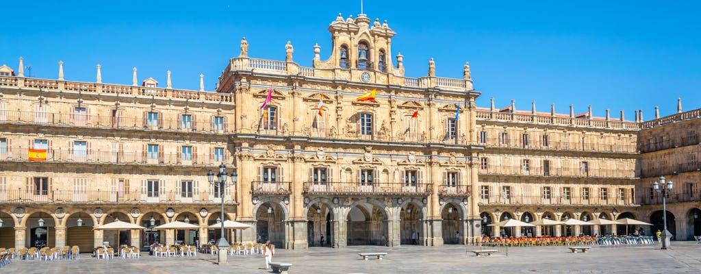 Destaques da visita guiada privada a Salamanca