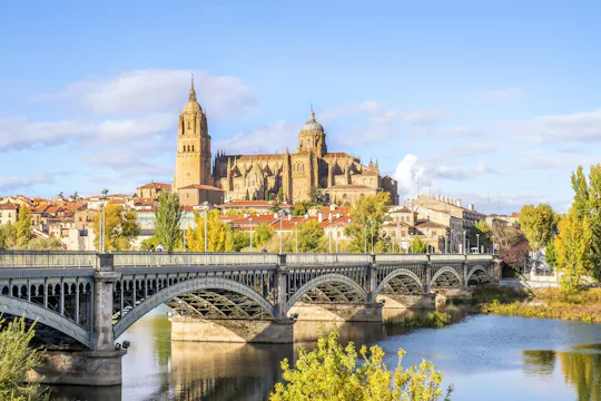 Visita guiada panorâmica de Salamanca