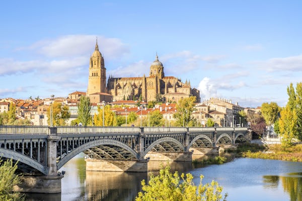 Visita guiada panorámica de Salamanca