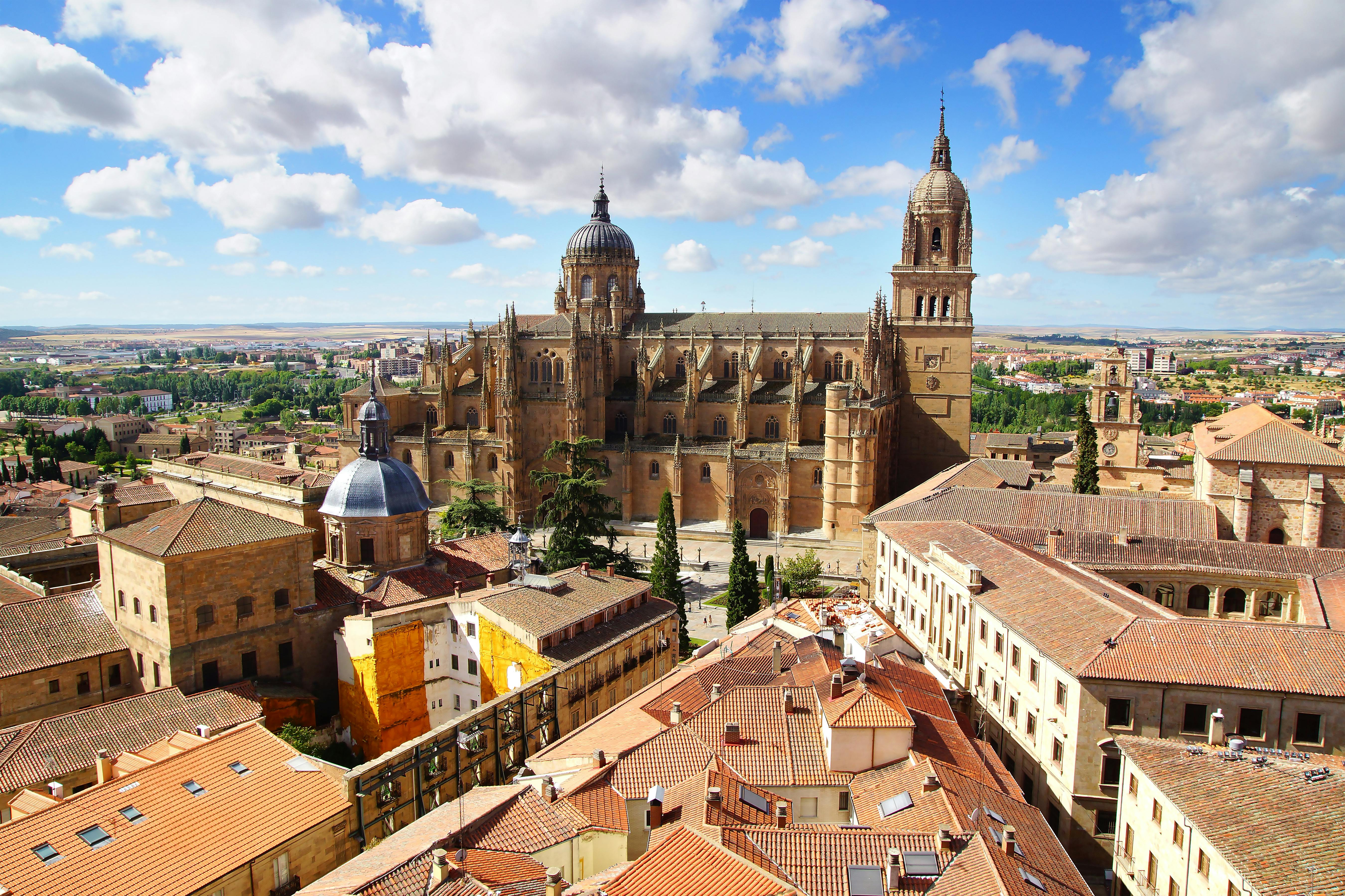 Visita guidata privata panoramica di Salamanca