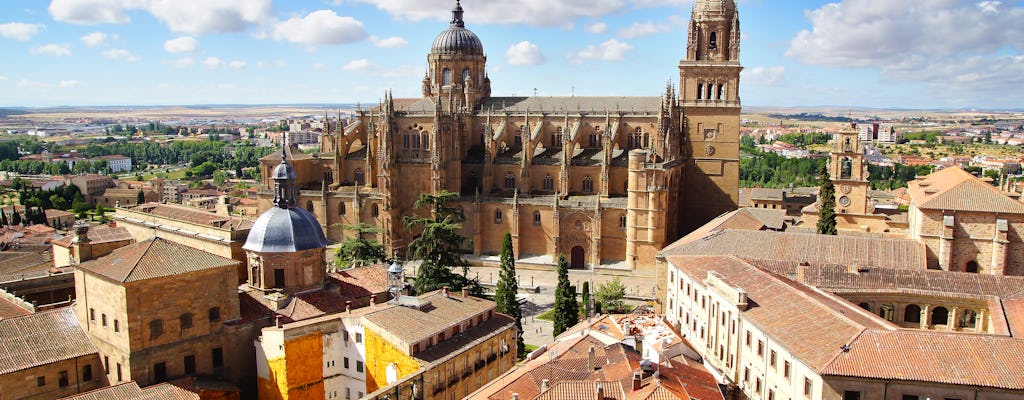 Private geführte Panoramatour durch Salamanca