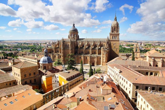 Visita guiada privada Salamanca panorámica