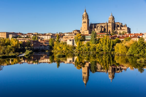 Excursão privada de dia inteiro a Salamanca