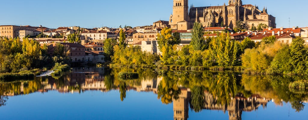 Salamanca full-day private tour