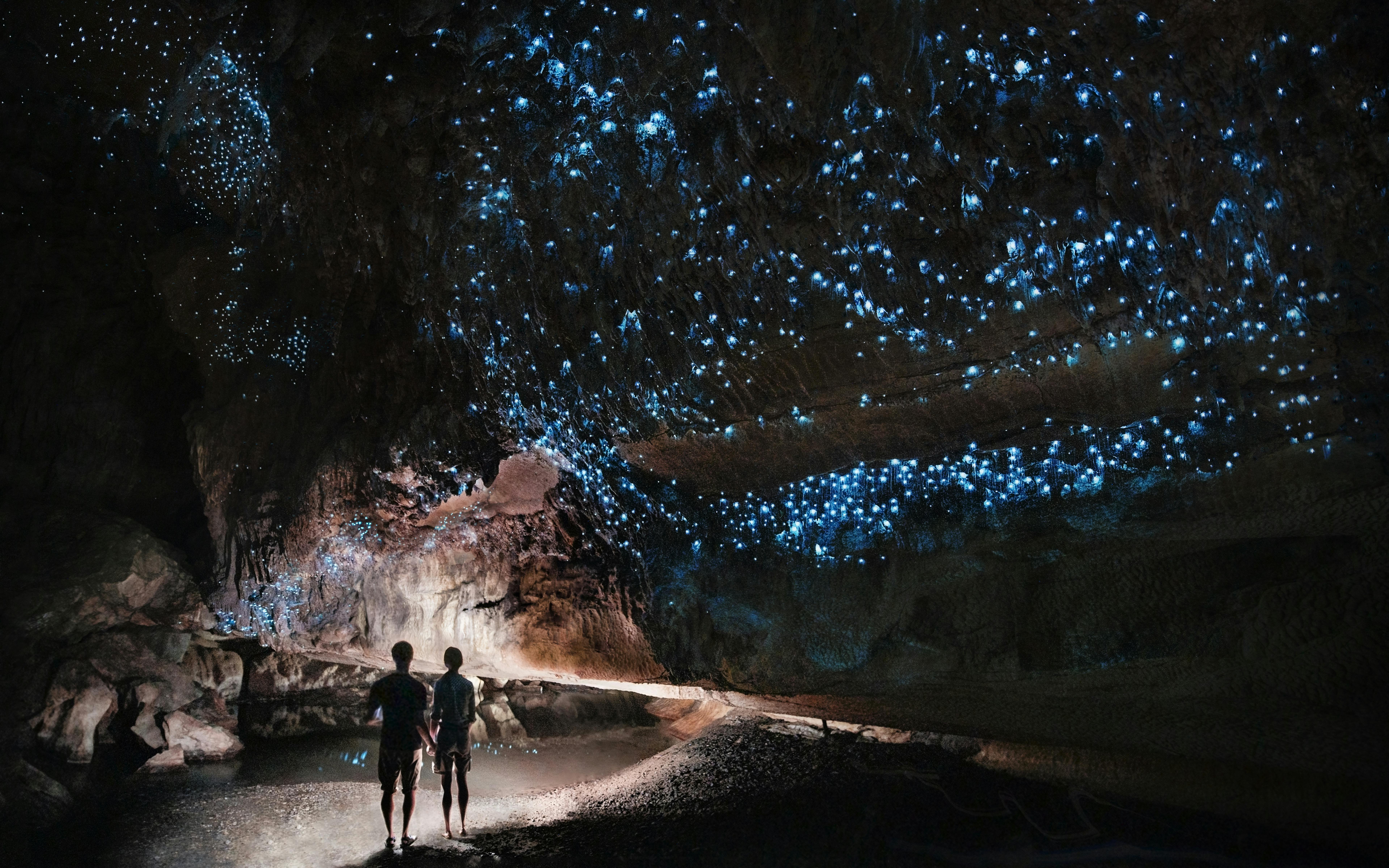 Jaskinie Te Anau Glowworm