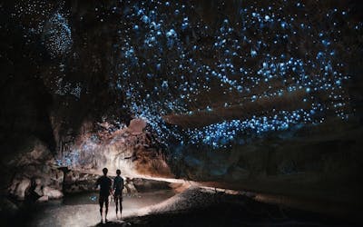 Пещеры светлячков Те Анау