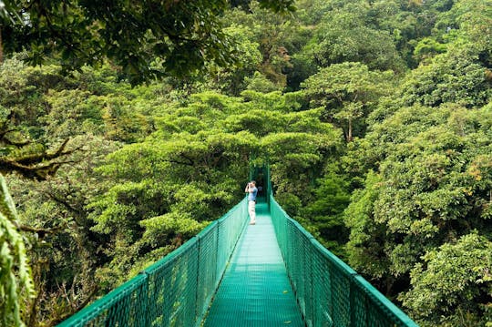Hanging Bridges Monteverde Tour