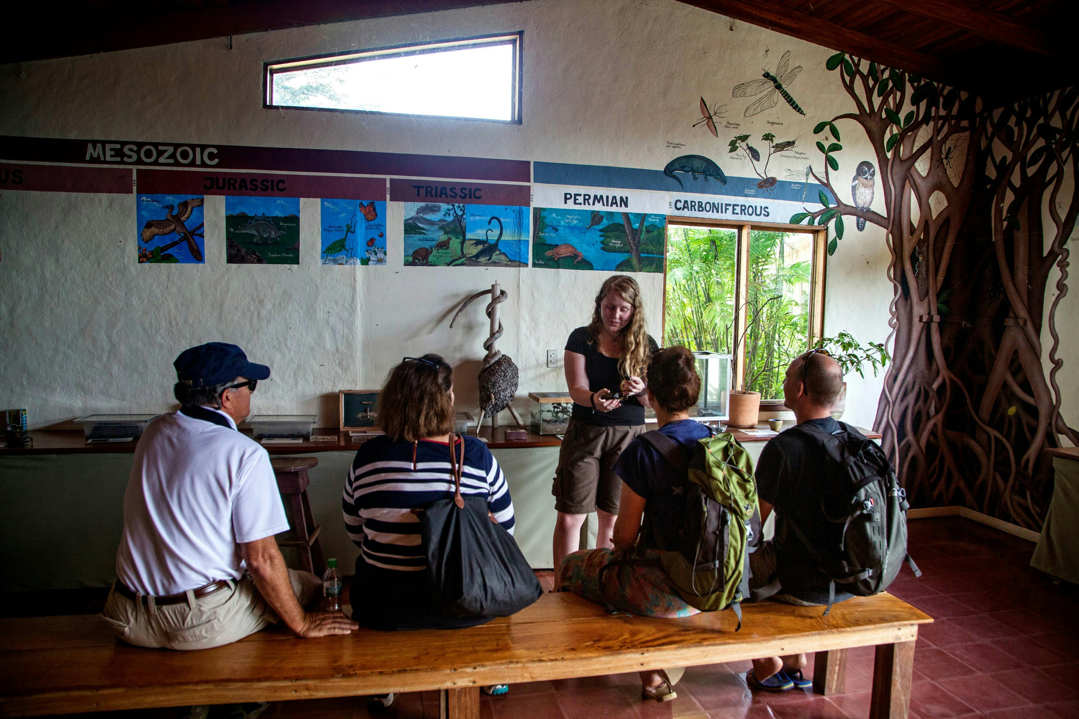 Monteverde Butterfly Garden Ticket