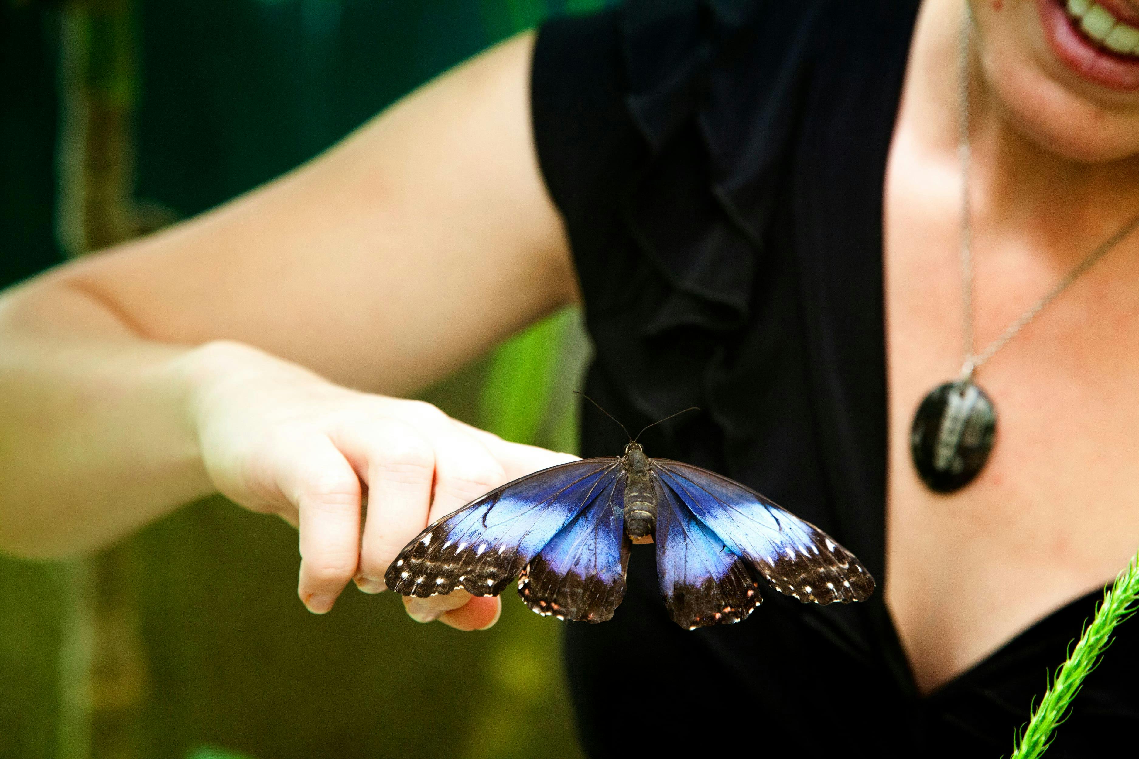 Entrada al Jardín de Mariposas de Monteverde