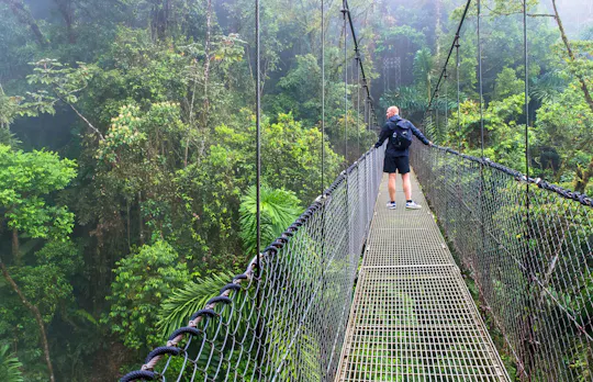 Arenal Mistico Park Hanging Bridges Tour