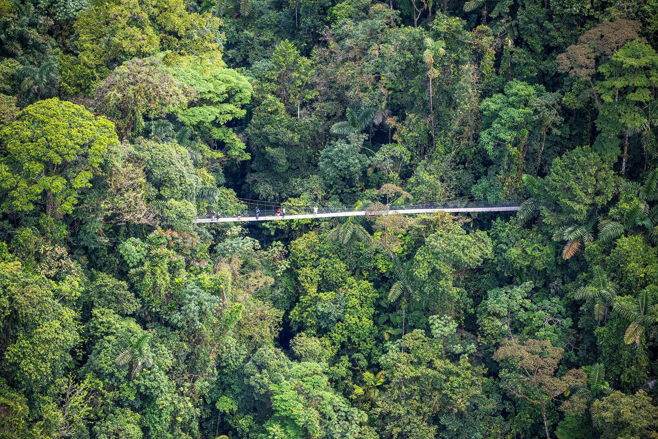 Arenal Mistico Park Hanging Bridges Tour