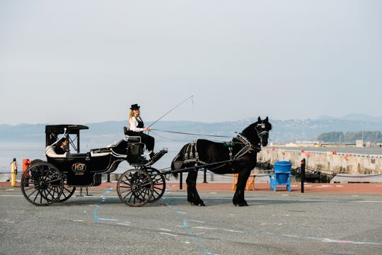 Carriage tour by the sea in Victoria