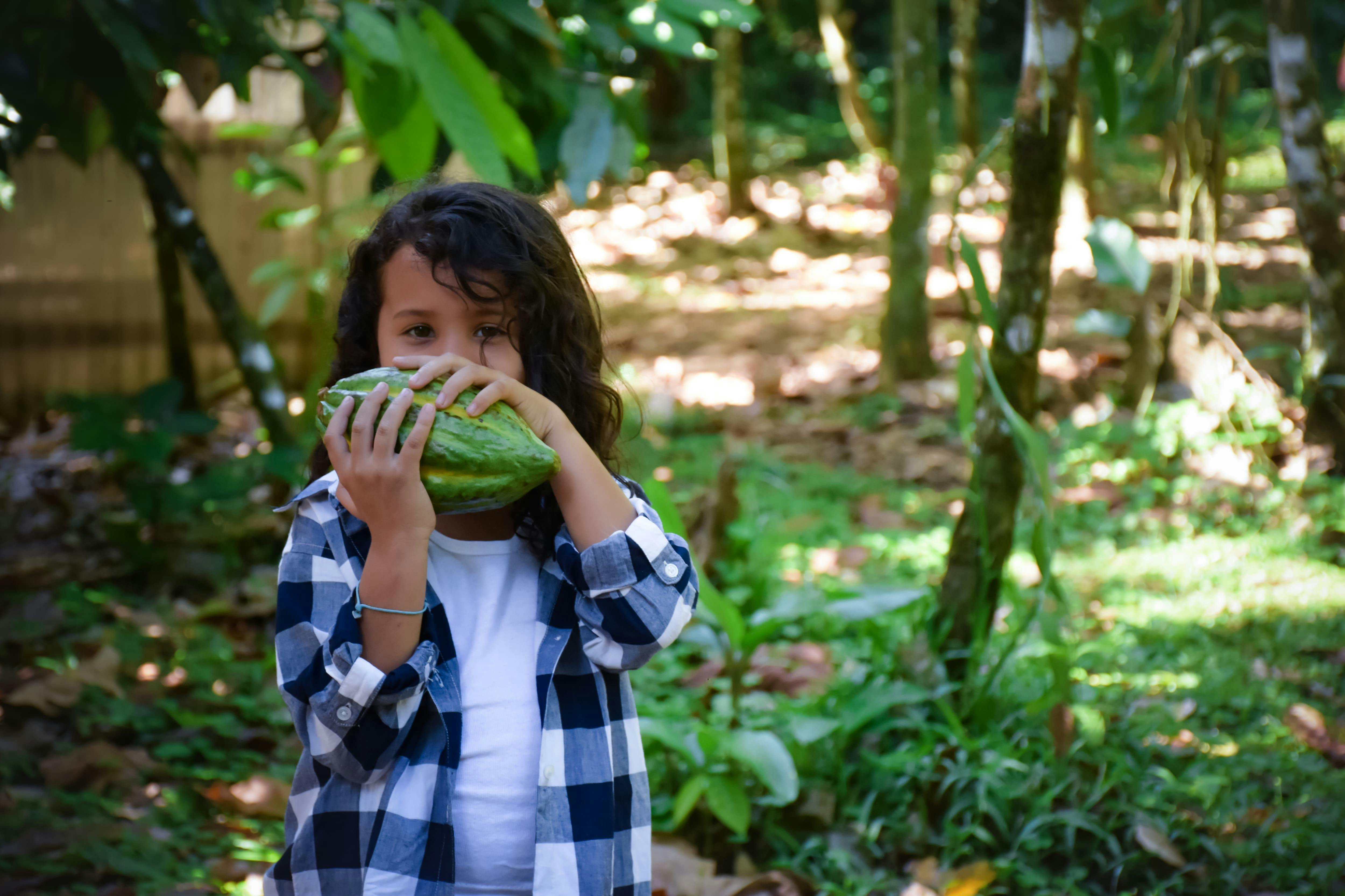 Chocolate Farm Tour & La Fortuna Waterfall