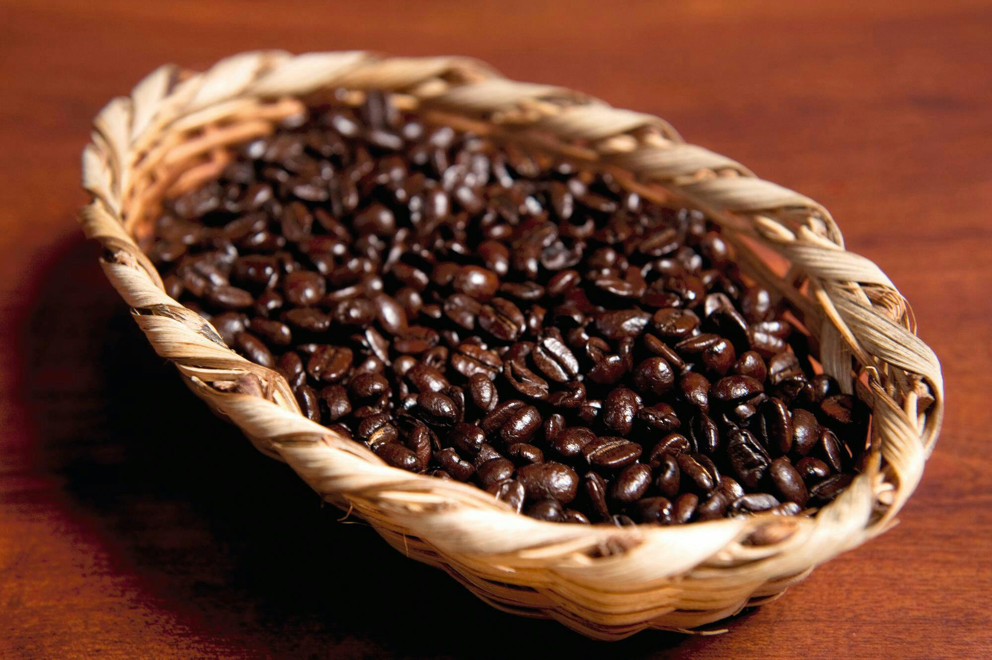 Don Juan Coffee Tour in Monteverde