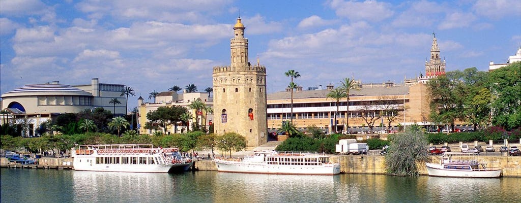 Seville full-day private tour with entrance tickets