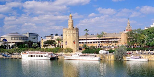 Tour privato di Siviglia di un'intera giornata con biglietti d'ingresso