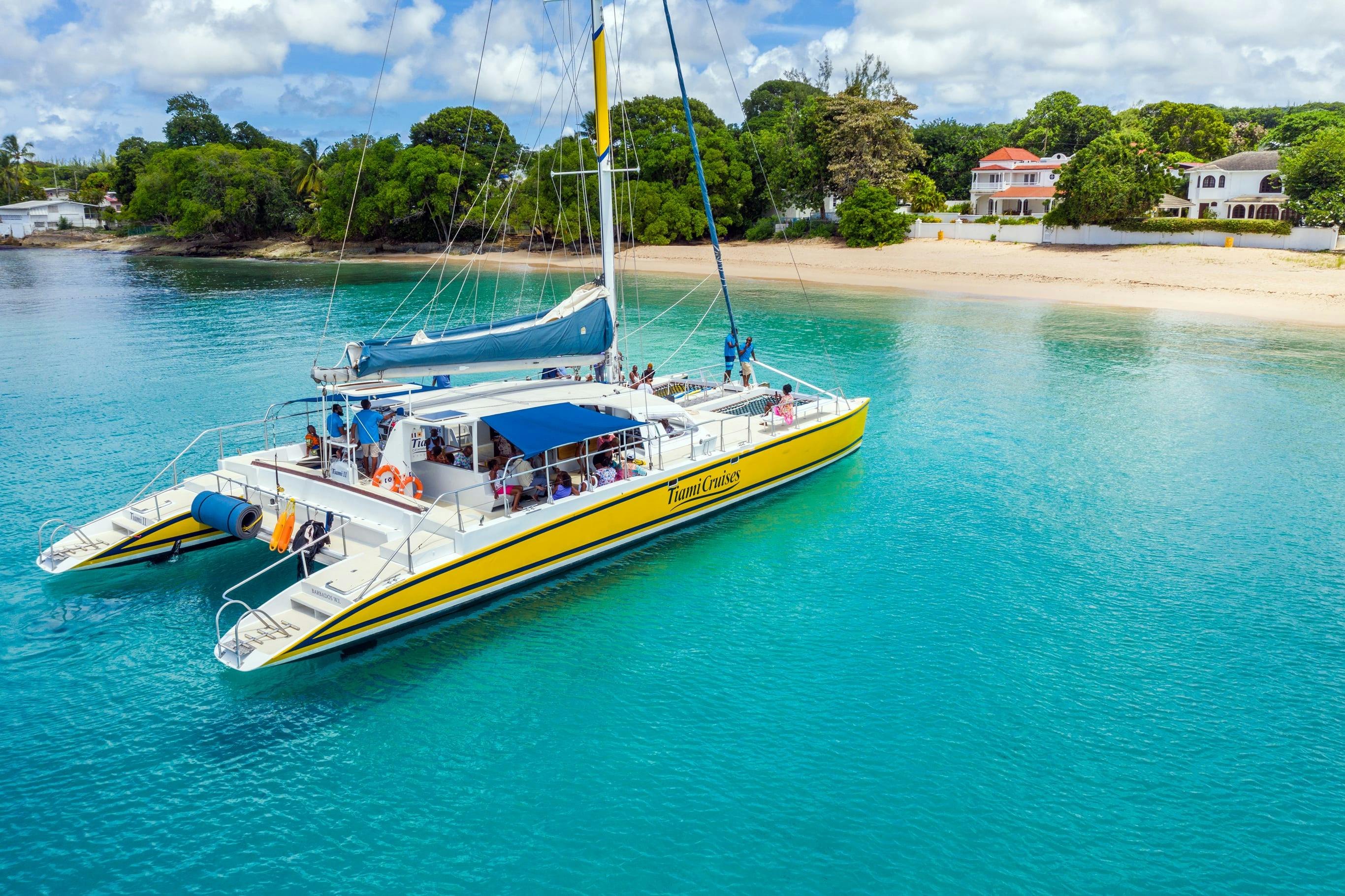 Barbados Turtle Snorkelling Tour