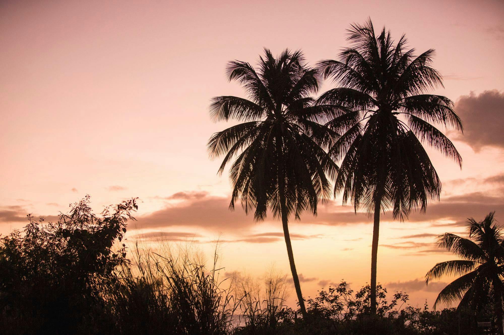Barbados Catamaran Sunset Cruise
