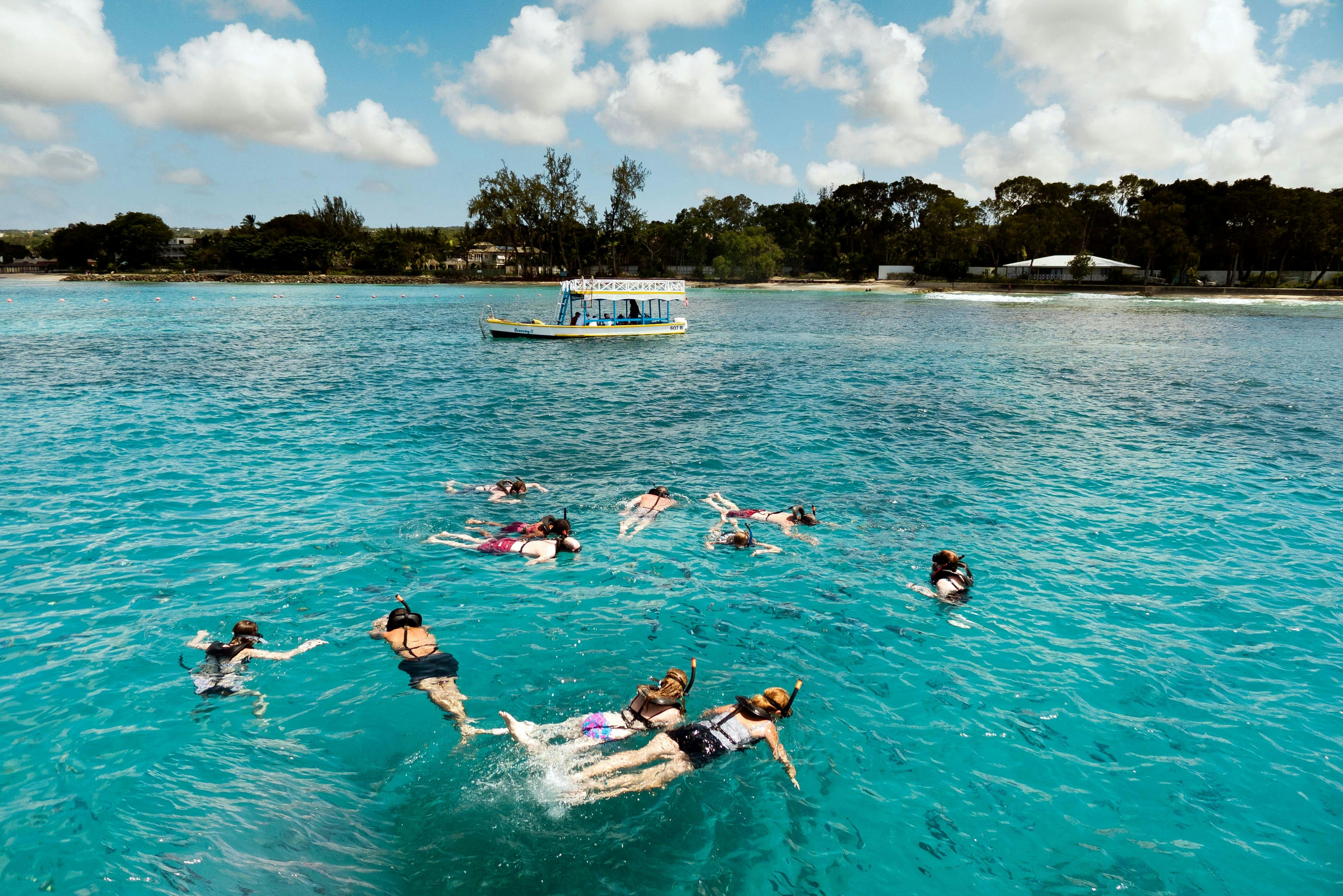 Barbados Turtle Snorkelling Tour