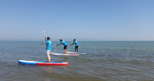 Tour del Delta del Ebro 4x4 con esperienza in kayak o SUP