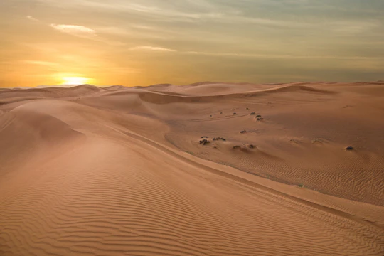 Dubai evening safari by Vintage G Class at Al Marmoom Oasis