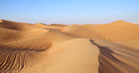 Dubai morning safari by Vintage G Class at Al Marmoom Oasis