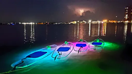 fareharbor-glowpaddle|329049-632183