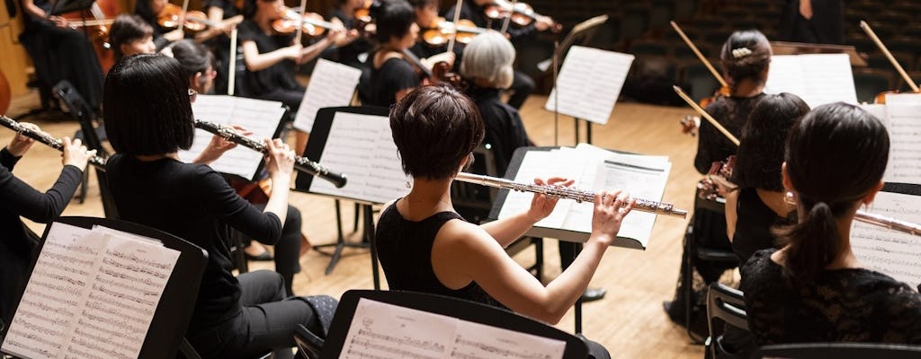 Privéwandeling naar Mozart in Wenen met optioneel concert