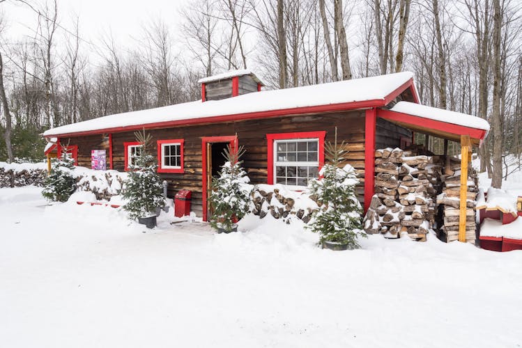 Sugar shack experience and maple taffy tasting with guided tour