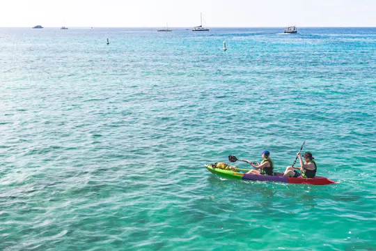 Alquiler de kayaks con fondo transparente