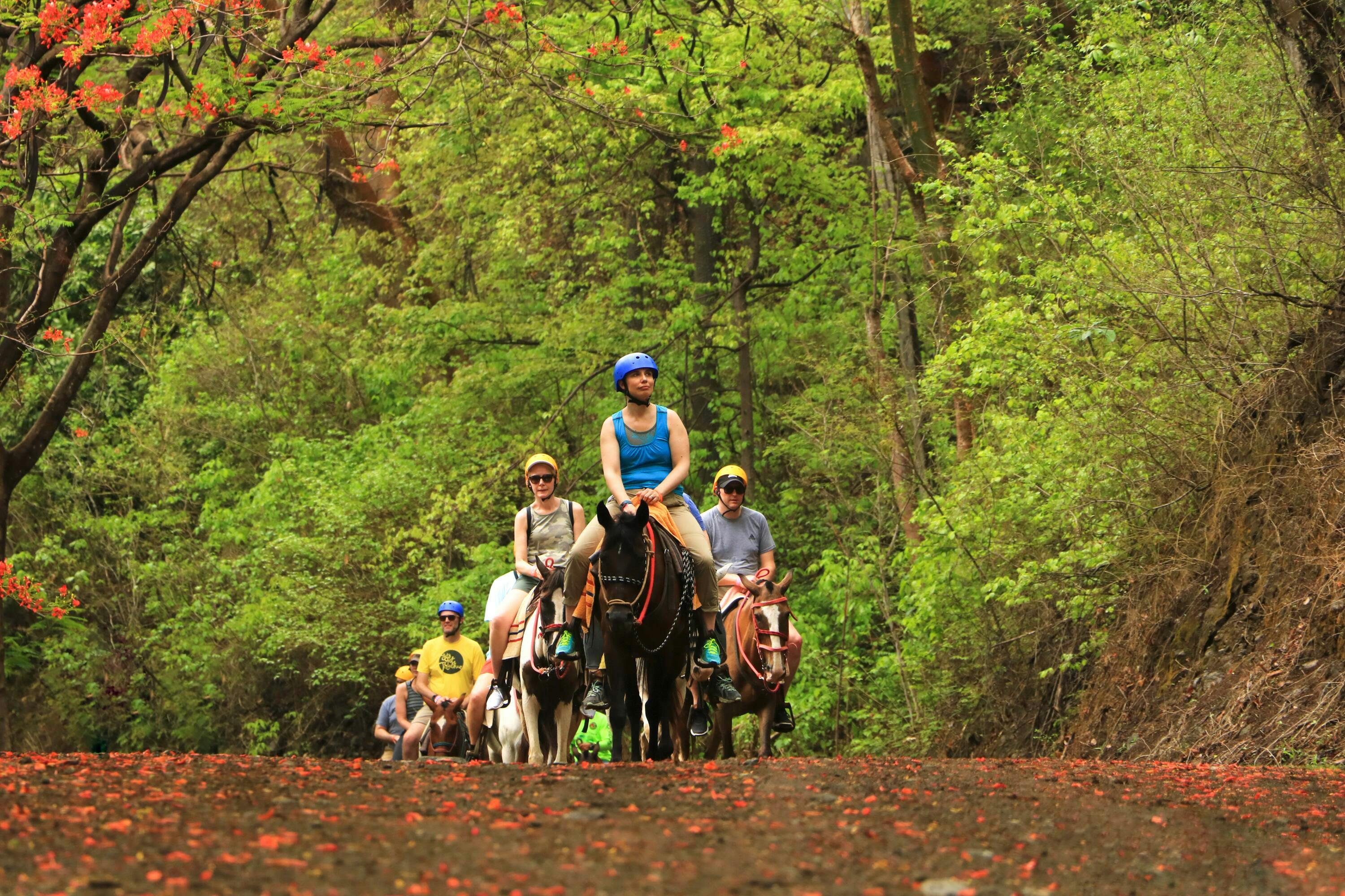 Diamante Eco Park Horse Riding Tour