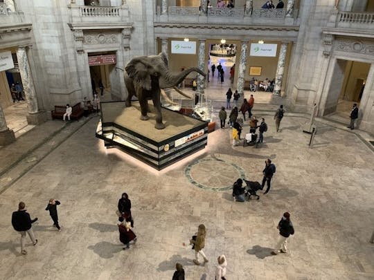 Ingressos para o Museu Nacional de História Natural Washington DC Smithsonian e visita guiada