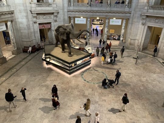 Biglietti e visita guidata per il Museo Nazionale di Storia Naturale Smithsonian di Washington DC