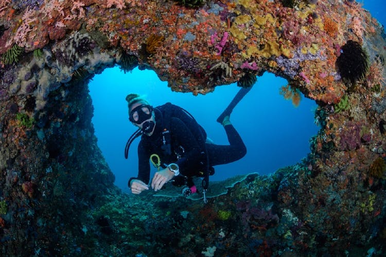 Tulamben shipwreck and Coral Garden full-day for certified divers