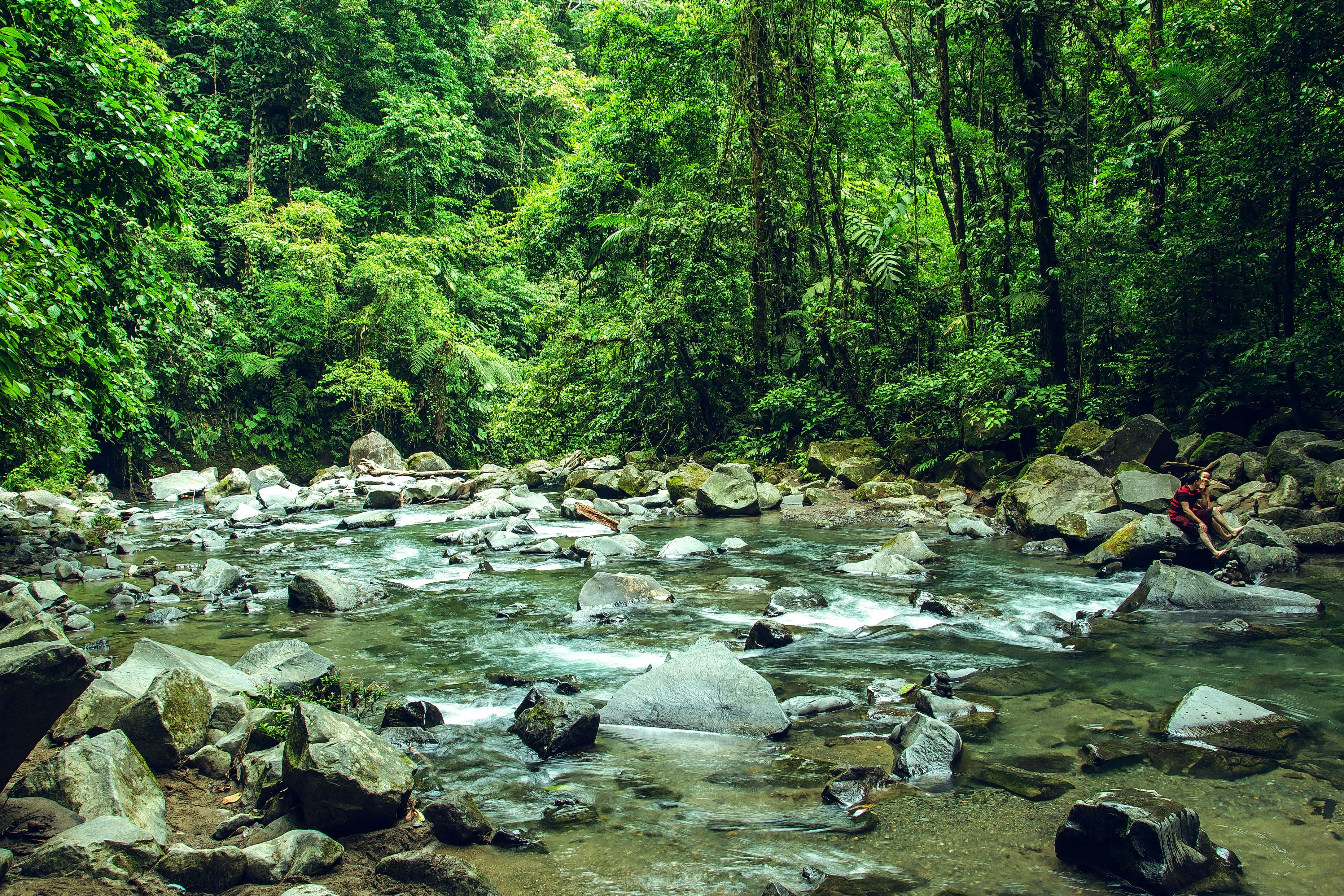 Chocolate Farm Tour & La Fortuna Waterfall