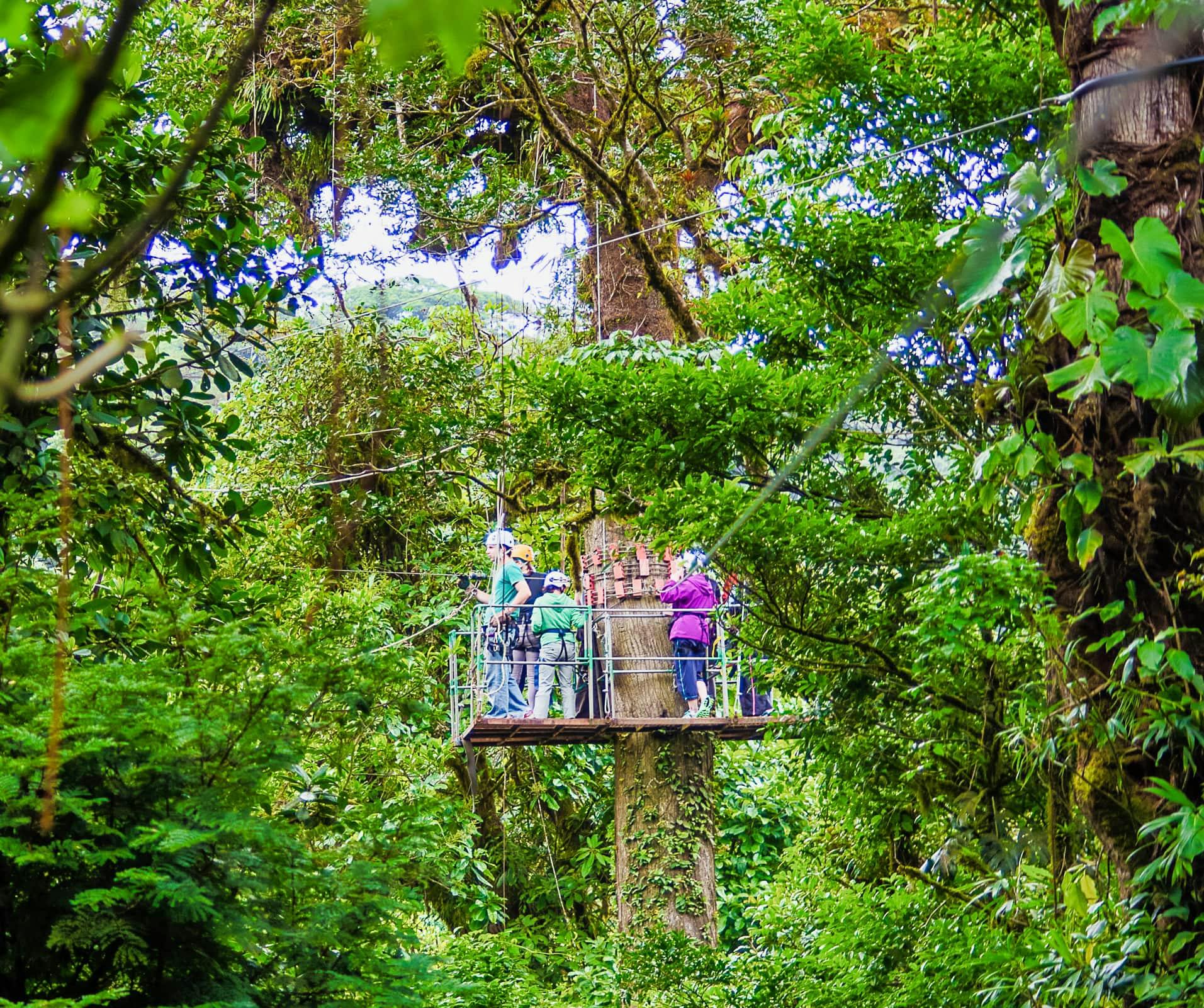 Zipline Canopy Tour