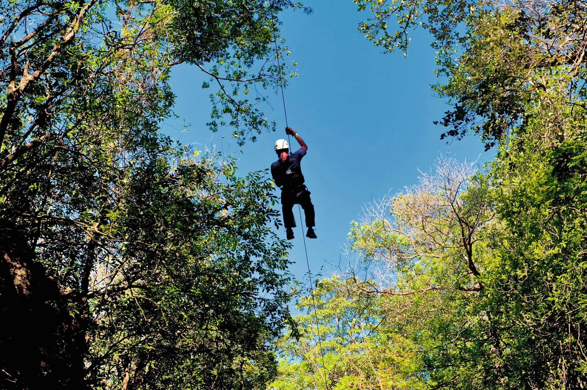 Zipline Canopy Tour