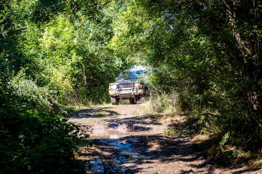 Safari naar Silistar Natuurreservaat