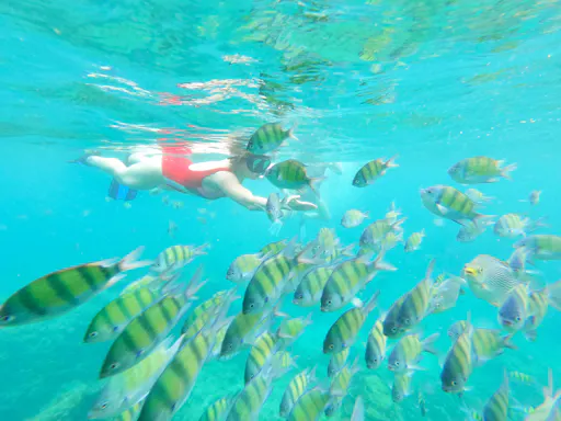 Khao Lak Coastal Cruise