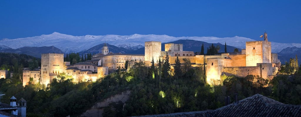 Alhambra skip-the-line tickets and guided tour at night
