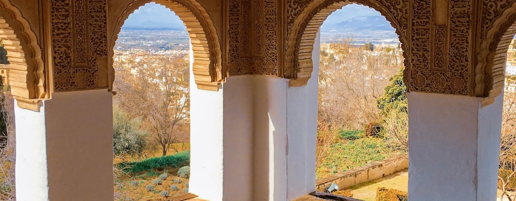 Biglietti Alhambra e tour privato