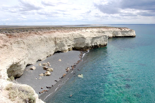 Puerto Madryn private tour and Punta Loma sea lions reserve visit