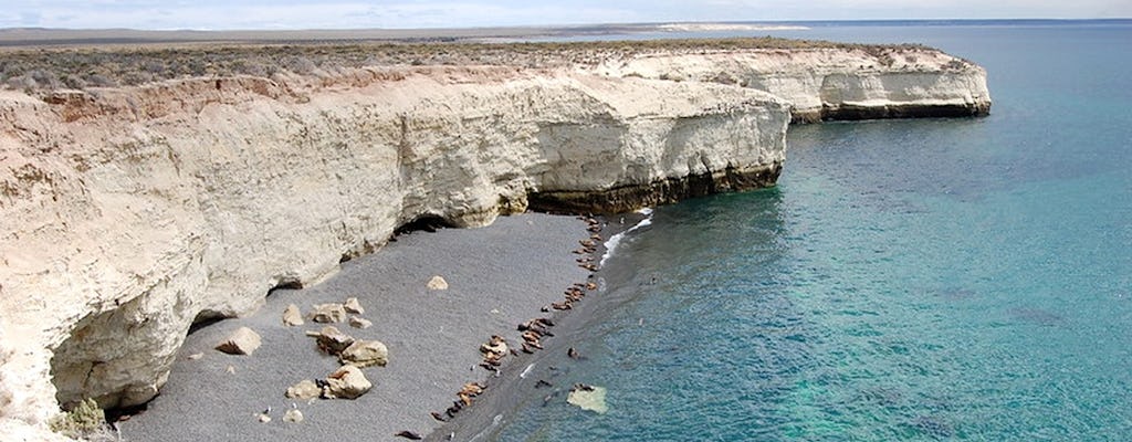 Visite privée de Puerto Madryn et visite de la réserve d'otaries de Punta Loma