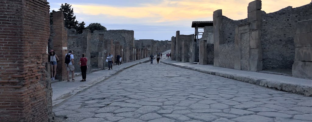 Wycieczka w małej grupie do Pompejów od popołudnia do zachodu słońca