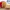 The Story of Edam Cheese Museum