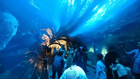 Dubai Aquarium and Underwater Zoo with Penguin Cove access