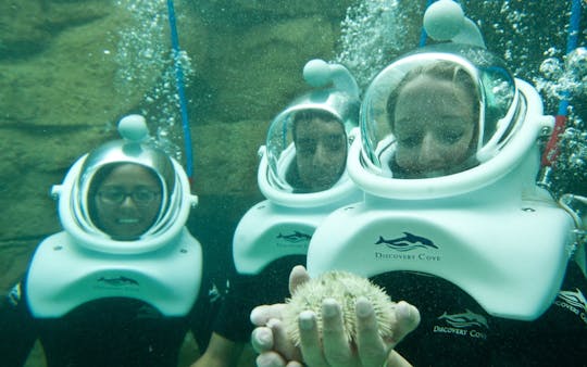 SeaVenture at Discovery Cove 2022