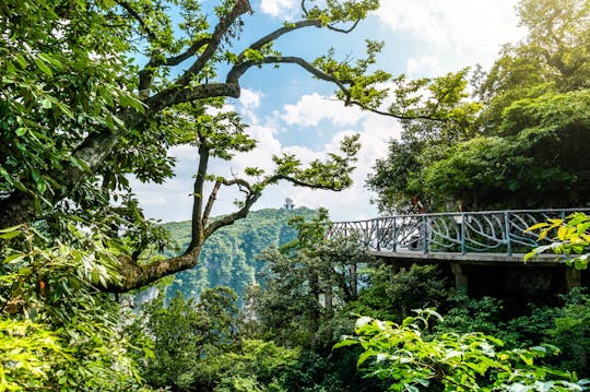Voyage privé à la montagne Tianmen, Sky Walk et découverte personnalisée de Tujia